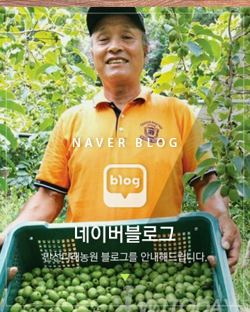 네이버블로그 바로가기